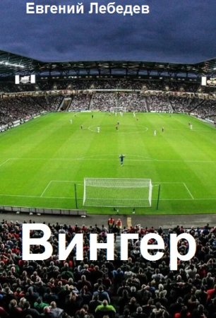 Евгений Лебедев. Вингер - Цикл из 6 книг (Альтернативная история, Попаданец)